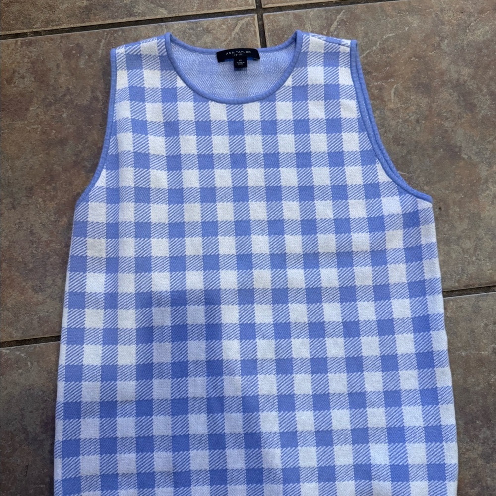 Ann Taylor Blue and White Plaid Knit Top